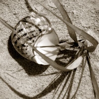 Seashells III