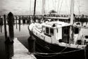 Cambridge Docks I