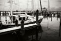 Cambridge Docks II