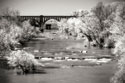 Lee Bridge I