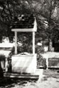 The Old Well II