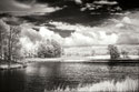 Shearon Lake IV