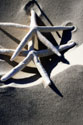 Sea Stars I