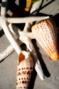Shells by the Sea I
