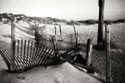 Dunes Fence II