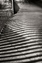 Dunes Fence V