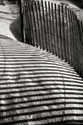 Dunes Fence VI