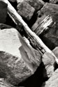 Rocks & Wood II BW