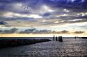 Cedar Island Quay I