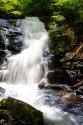 Deep Woods Waterfall I