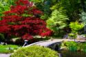 Meisho Garden II
