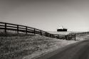 Albermarle Farm I