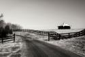 Albermarle Farm II