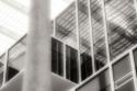 Contemporary II