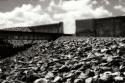 Fields of Sorrow I
