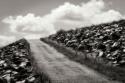 Fields of Sorrow II