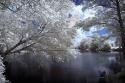 Walkerton Millpond I