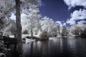 Walkerton Millpond II