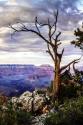 Evening on the Rim I