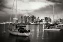 City Lights III