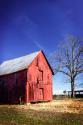 Old Tobacco Barn III