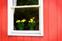 Flowers in a Window II