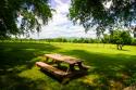 Country Springtime I