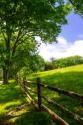 Virginia Byways II