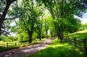 Virginia Byways III