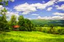 Virginia Foothills I