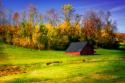 Autumn Hills I