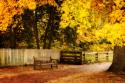 Autumn Stillness I