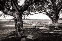 Summer Hammock II