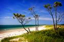 Cedar Inlet