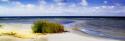 Cedar Island Beach I