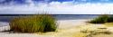Cedar Island Bay II