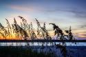 Masonboro Sunset II