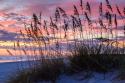 Ragged Sunrise IV
