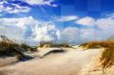 A Beach Day