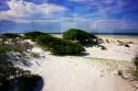 Windswept Beach