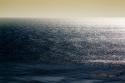 Deep Blue Sea I