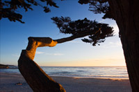 Carmel Sunset I