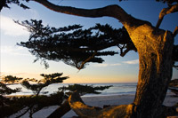 Carmel Sunset II