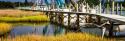 White Point Harbor