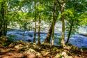 Spring On The River I