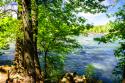 Spring On The River II