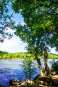 Spring On The River III