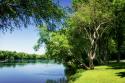 Spring On The River V