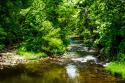 Small Mountain Stream I
