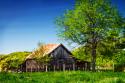Old Backyard Barn
